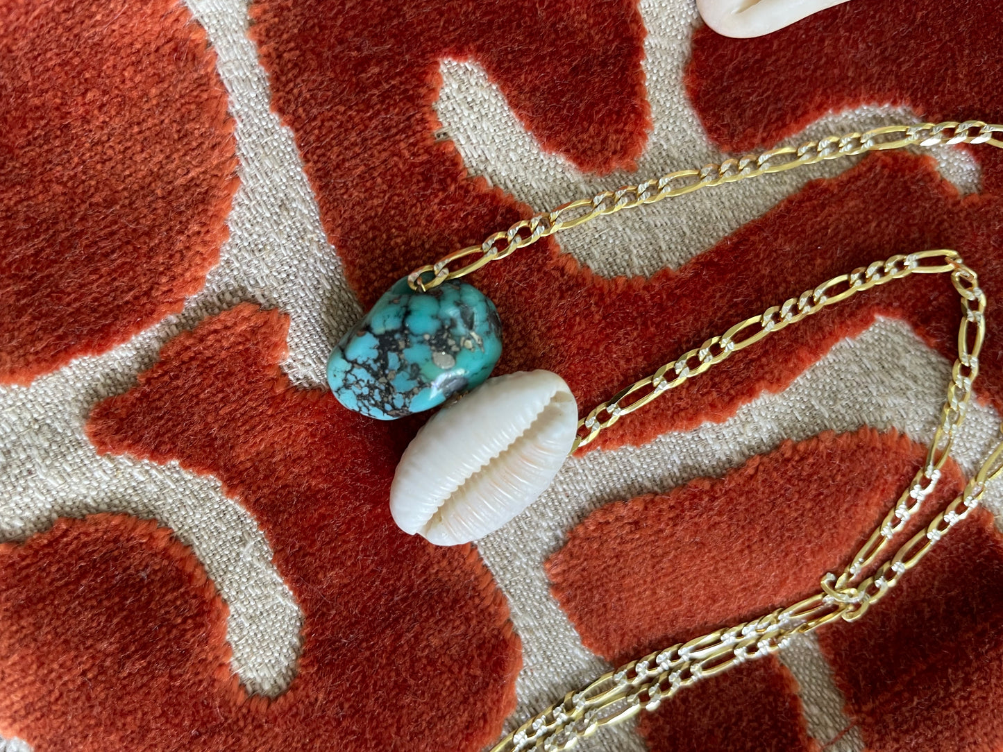 Turquoise Cowrie