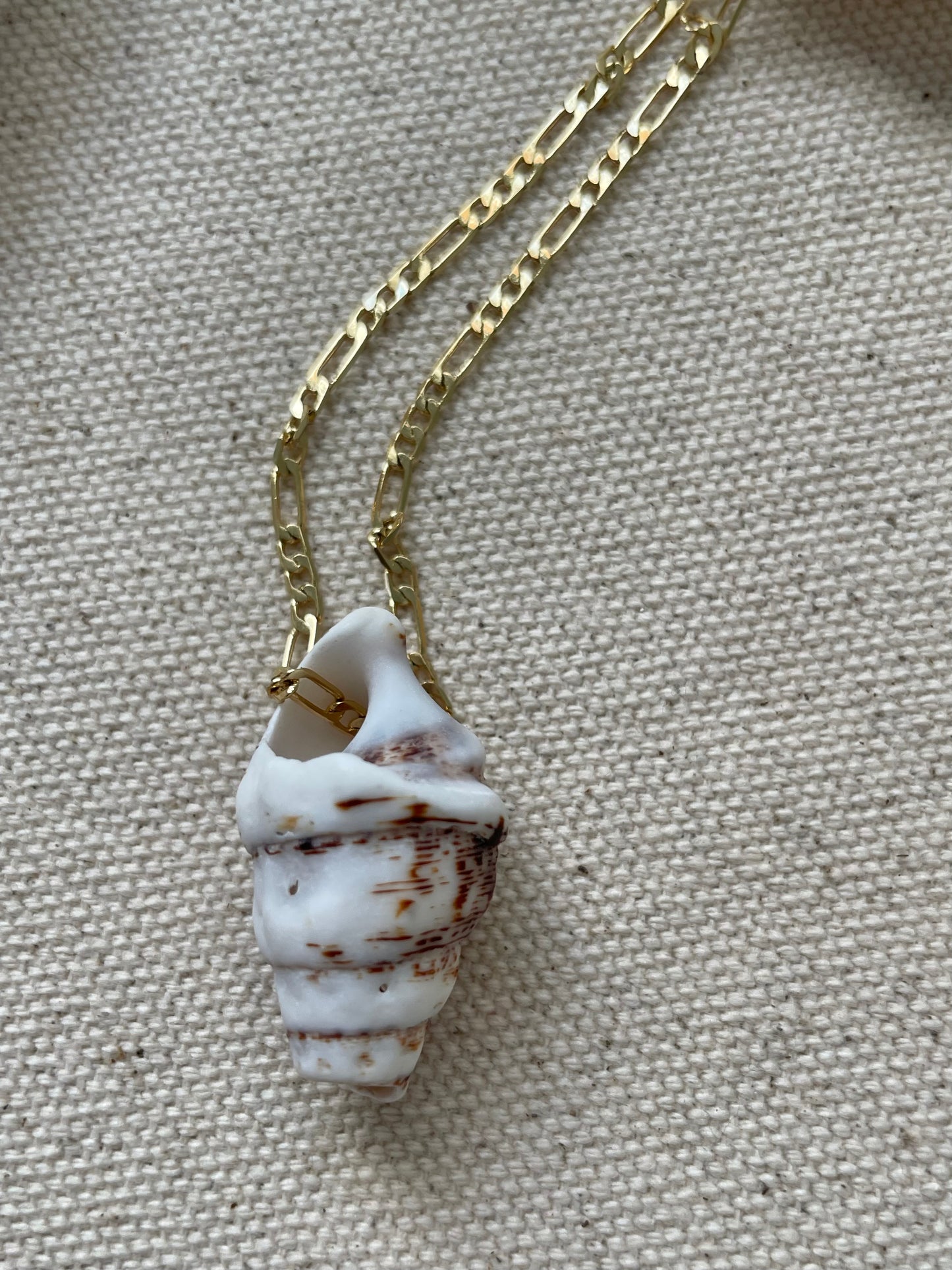 No 2 Shell on Gold Chain