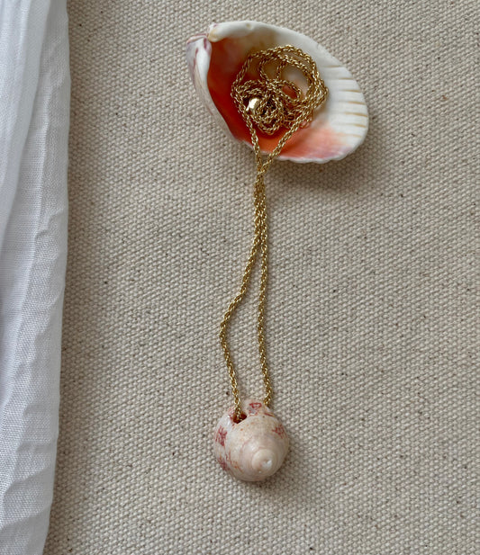 No 3 Shell on Gold Chain
