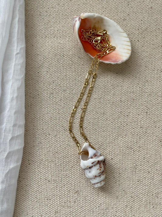 No 2 Shell on Gold Chain