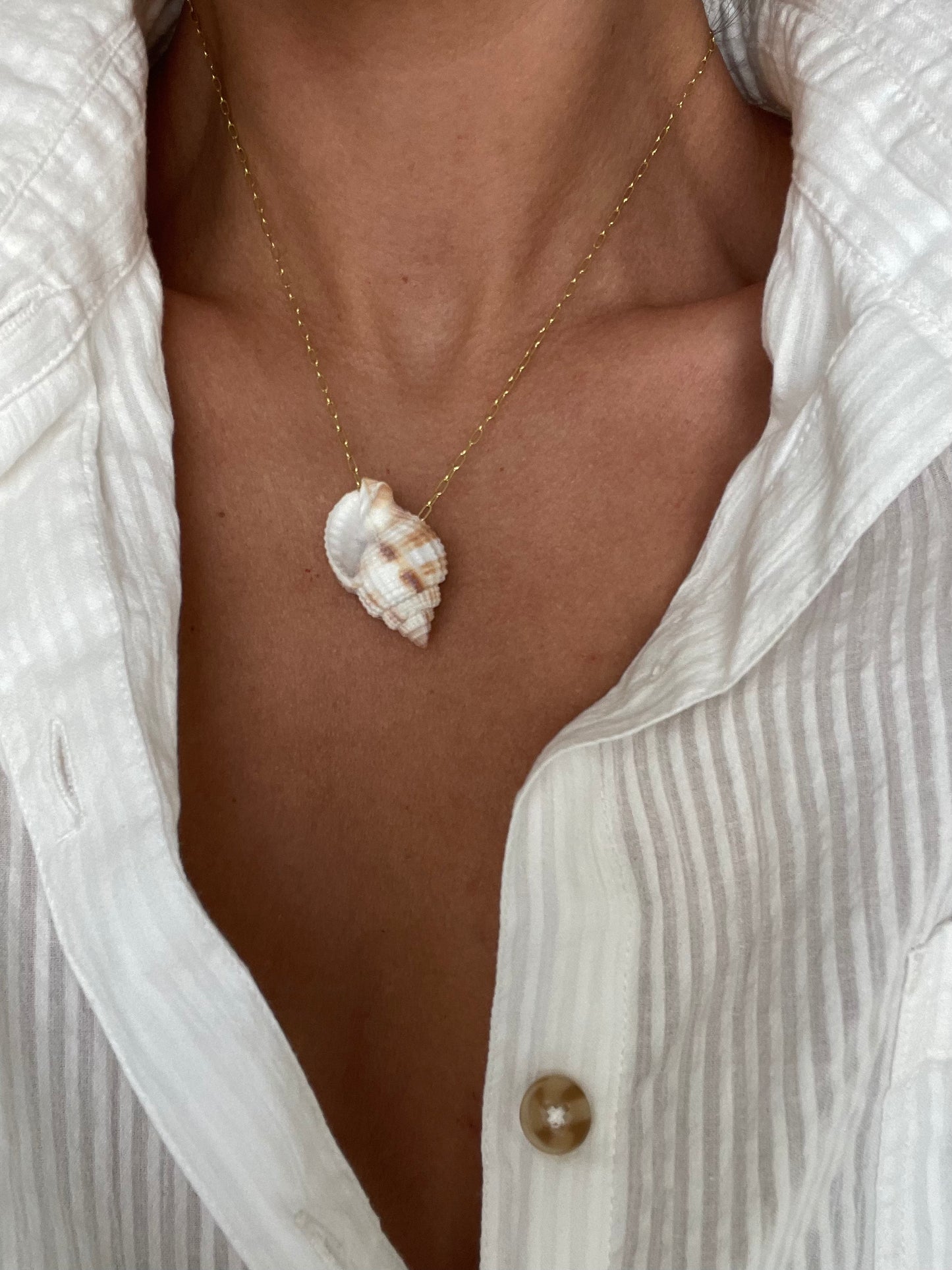 No 1 Shell on Gold Chain