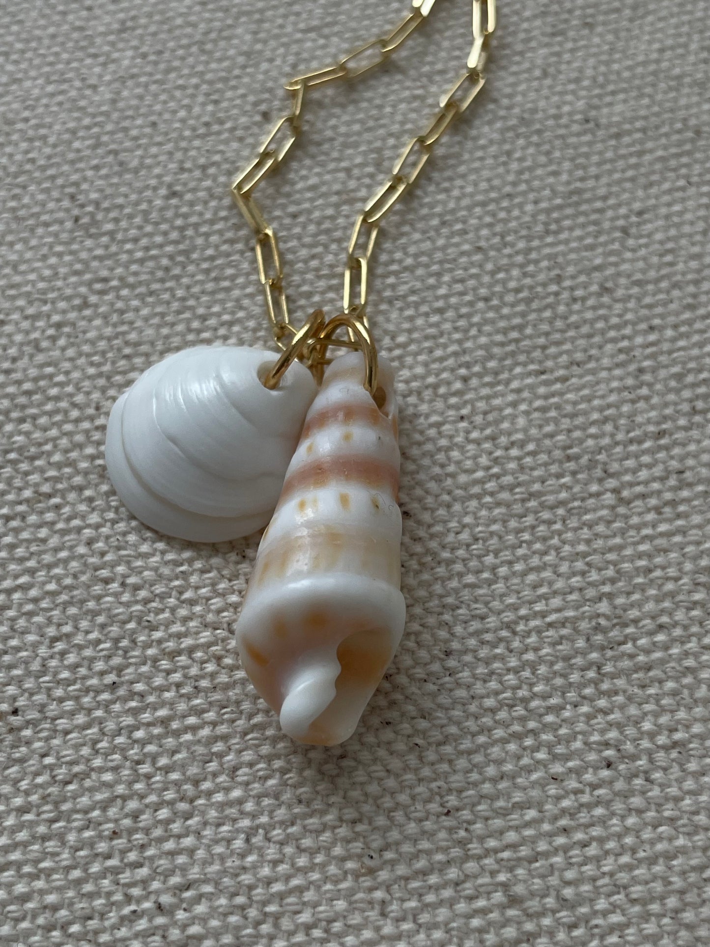 No 4 Shells on Gold Chain
