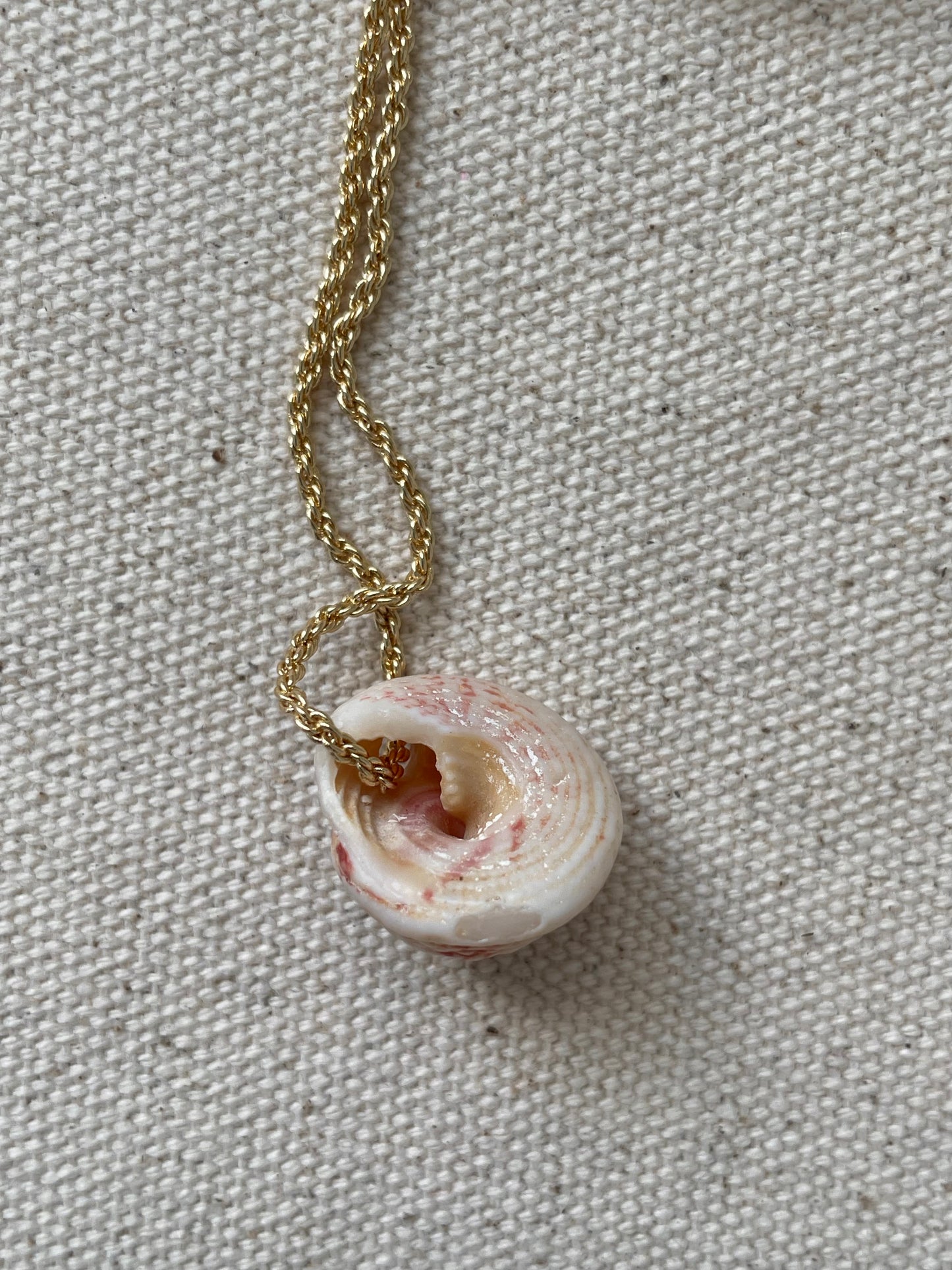 No 3 Shell on Gold Chain